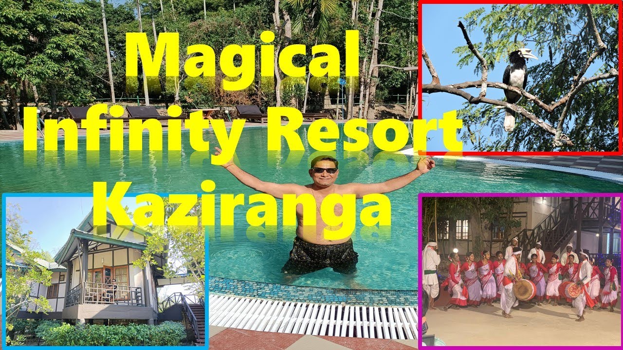 Our Experience in Infinity Resort Kaziranga | Assam |Chandranis Canvas