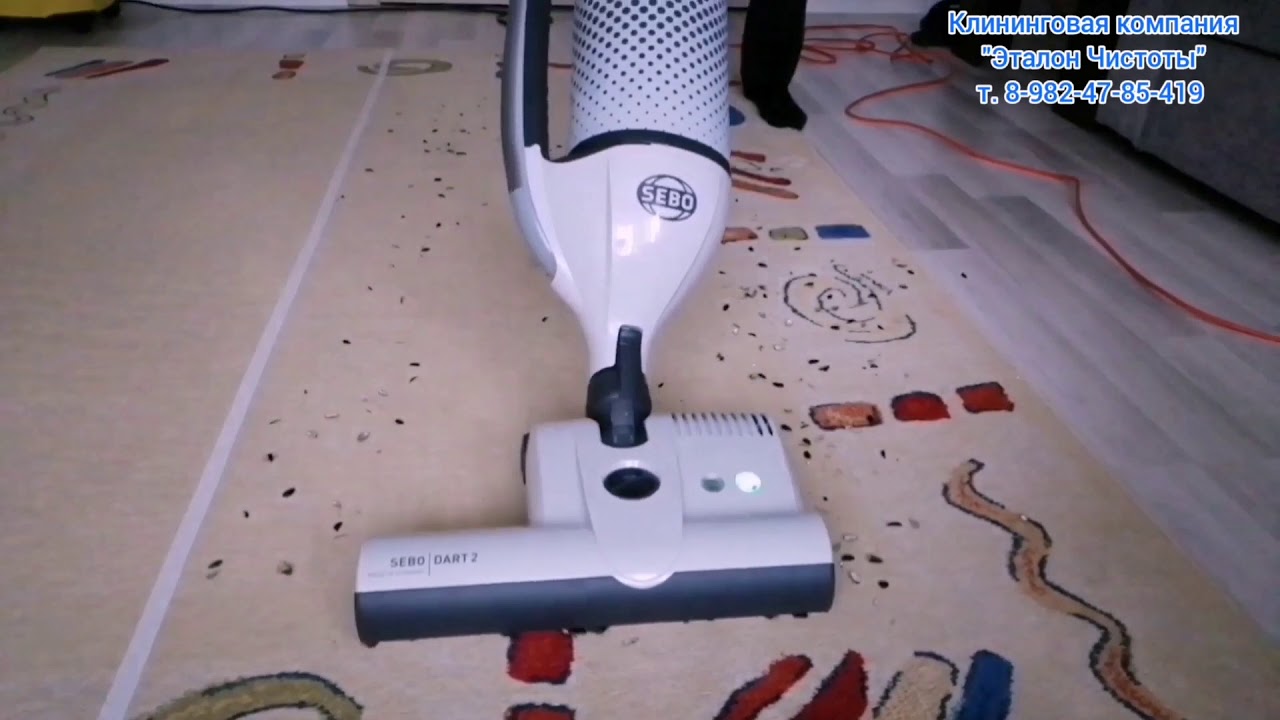 Какой пылесос лучше работает на сухой чистки ковров Karcher WD3 Premium или SEBO DART 2