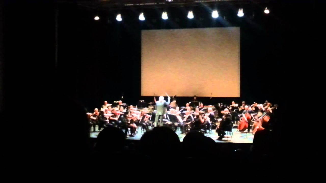 Animecon X // Animekonsertti osa 1/5