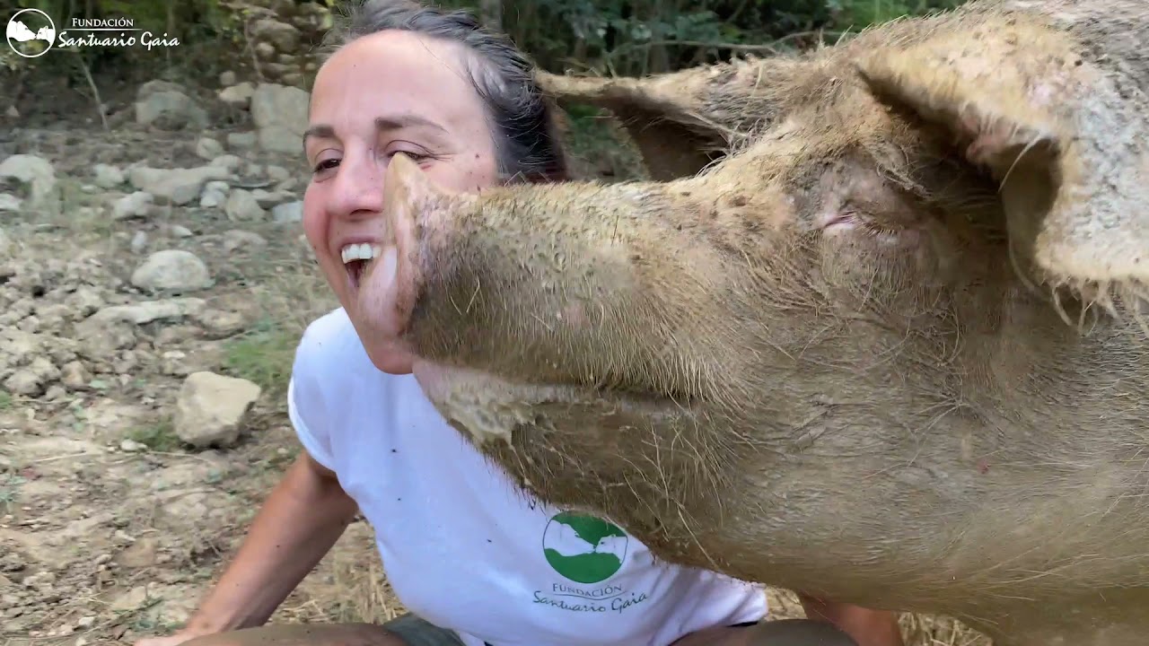 Gisela y Lía - Cerdos Felices, humanos felices ❤️