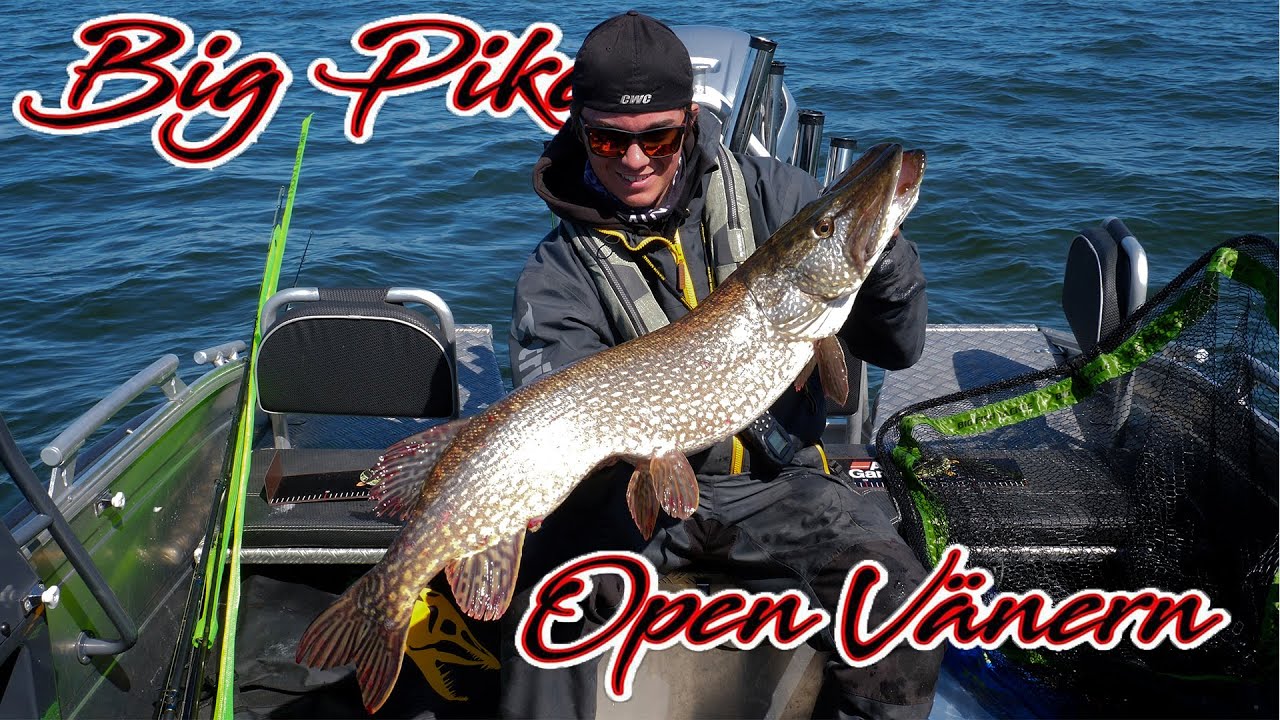 Big Pike Open Vänern 2019! (Med Team Marin/CWC)
