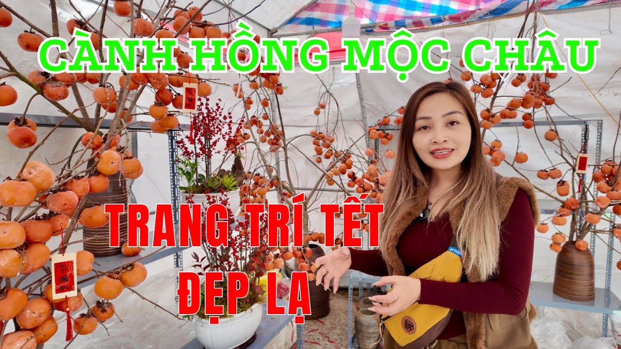 Cành hồng Mộc Châu trĩu quả hút khách ở chợ Tết Hải Phòng – xu hướng trang trí đẹp lạ
