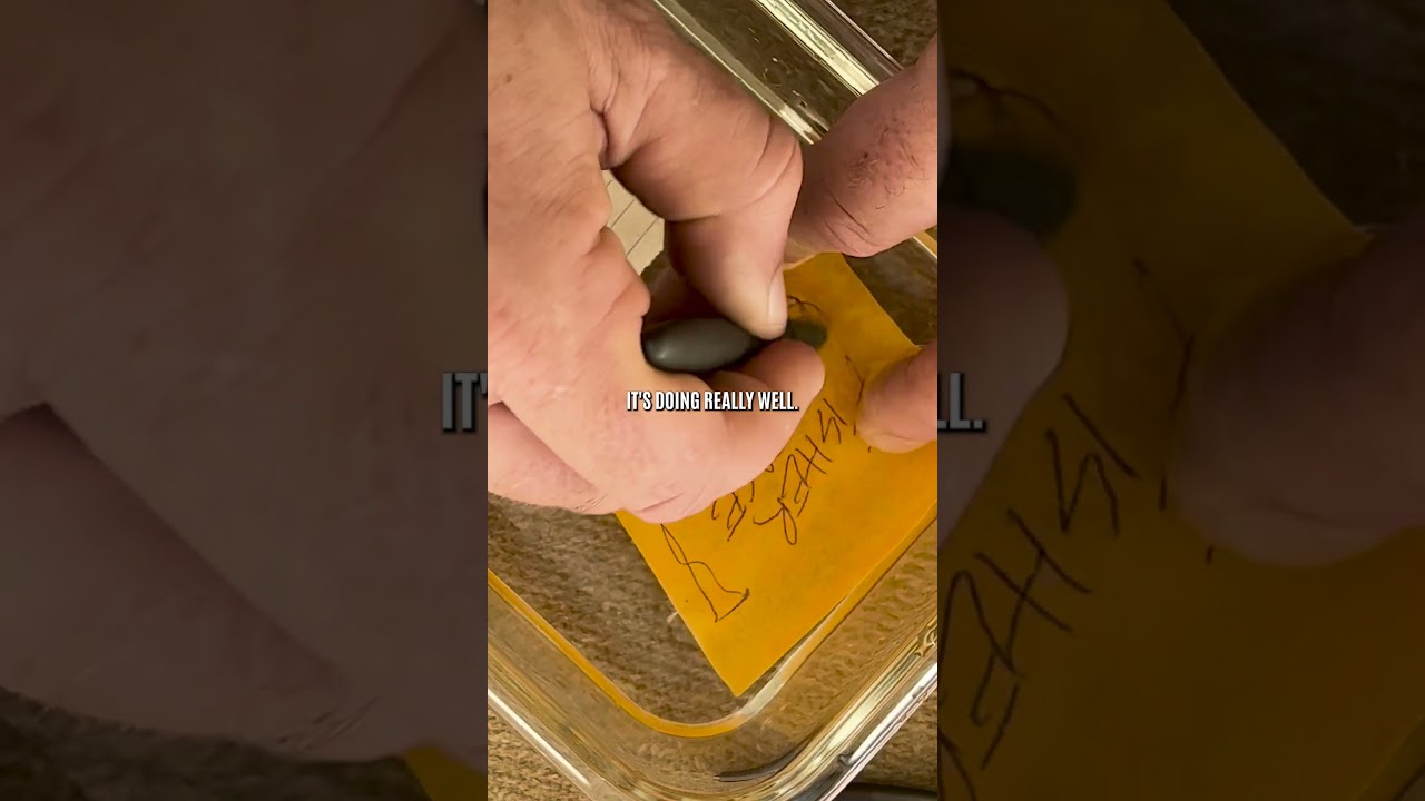 Putting Fisher Space Pen to the Test