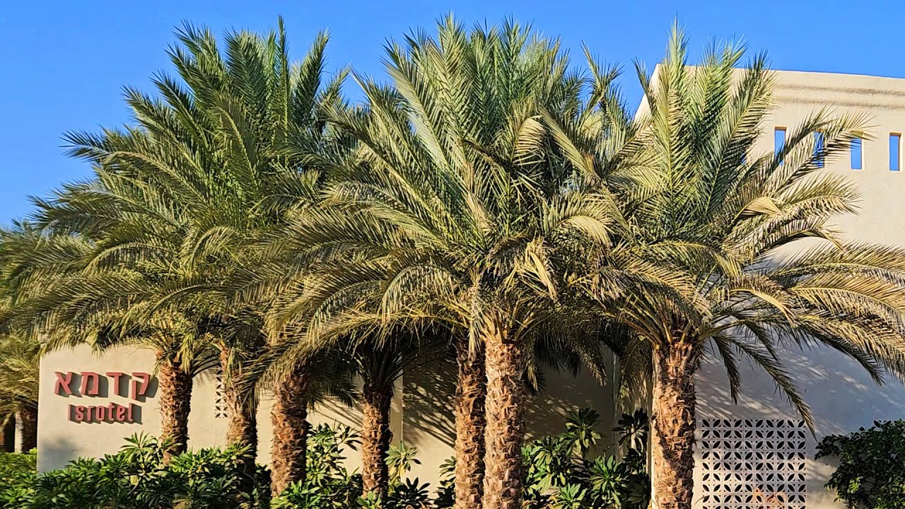 מלון קדמא ועין עבדת - נווה מדבר חלומי