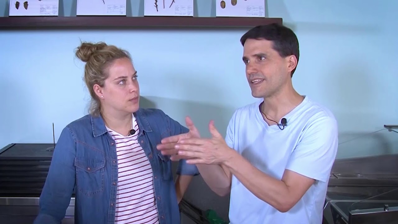 Receta conchas con zapallos encurtidos y emulsión de camote - Chefs Pia León y Virgilio Martínez