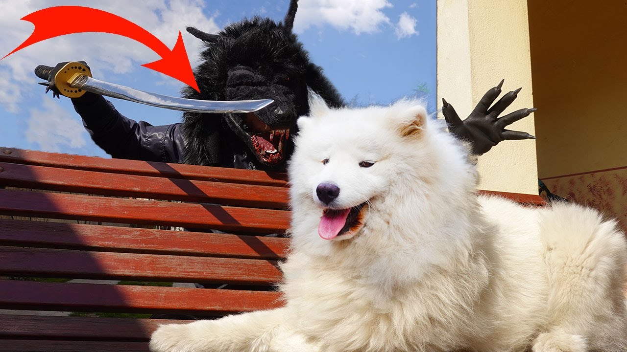 Werewolf ATTACK with a homemade KATANA