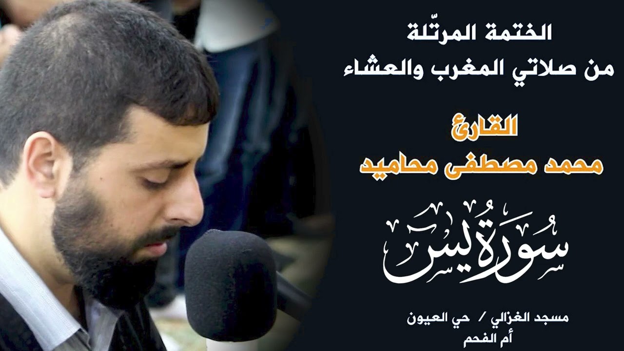 سورة يس كاملة بصوت الشيخ محمد مصطفى محاميد  - تلاوة هادئه