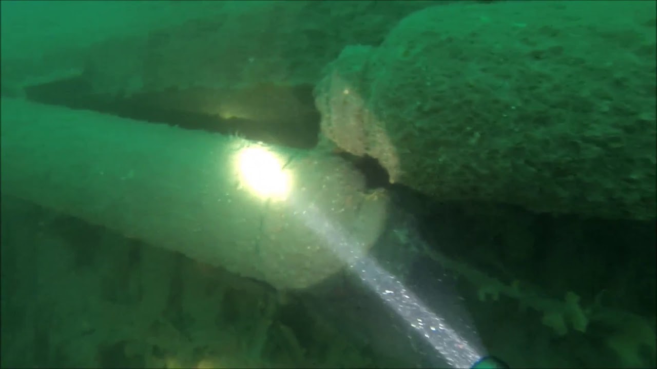 Dive On U-260 - German WW2 U-Boat in Cork, Ireland