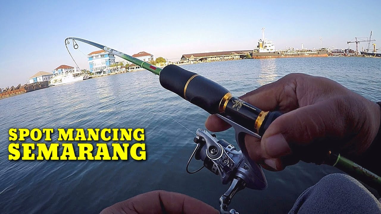 Info Umpan Udang Hidup & Spot Mancing Pelabuhan Tanjung Mas Semarang