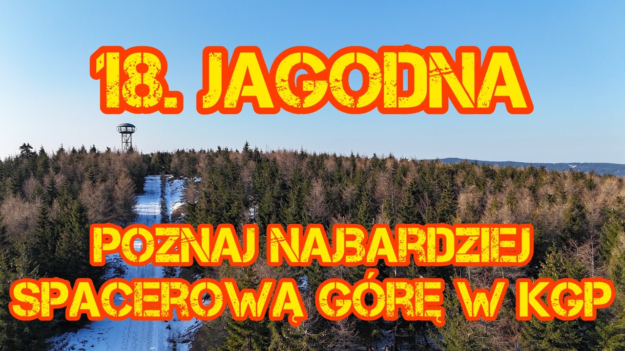 18. Jagodna. Poznaj najbardziej spacerową górę w KGP.
