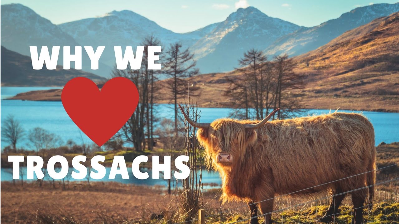 Why We 🖤 Trossachs | Scotland