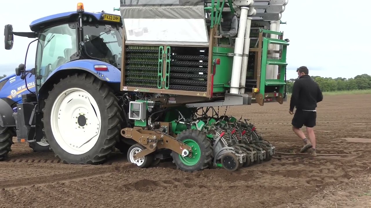 Leek planting with a PlantTape Automated Transplanter and New Holland tractor.