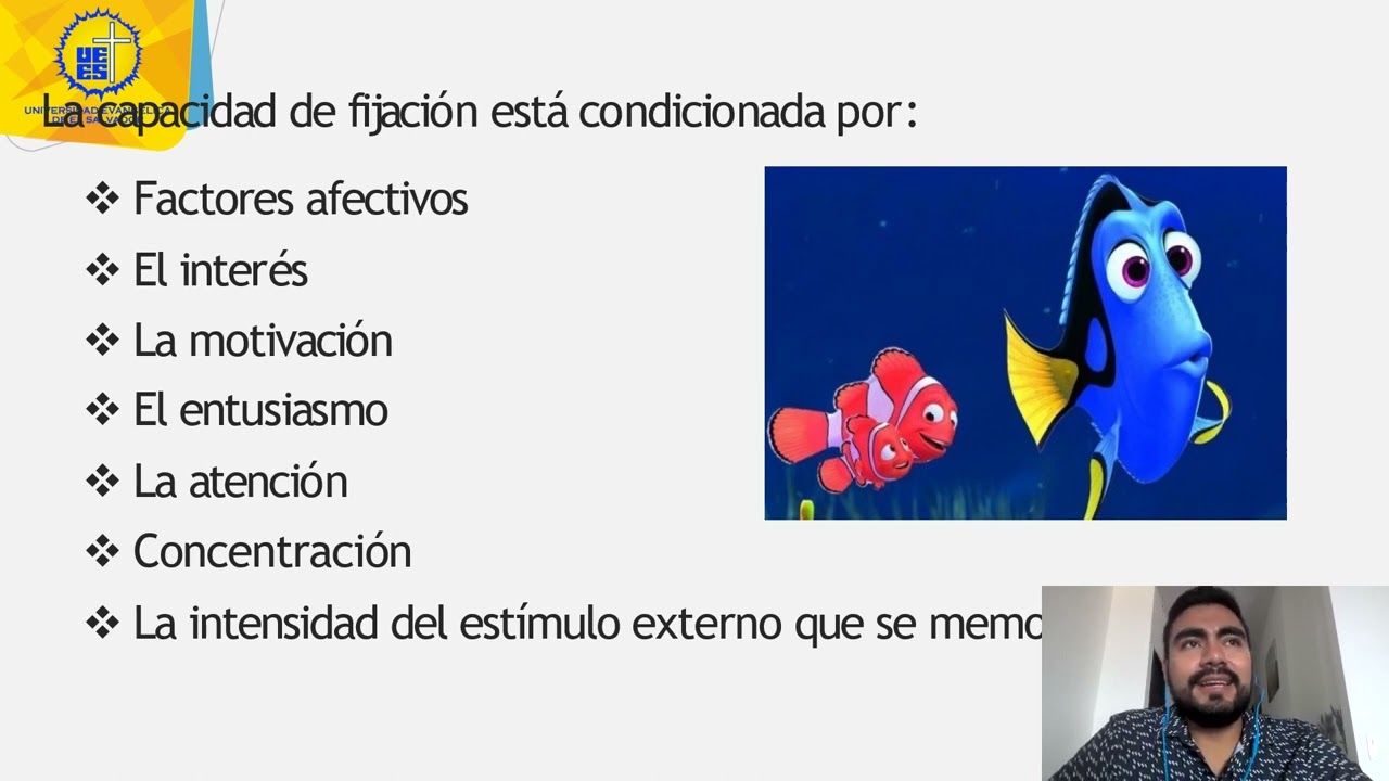 Psicopatología de la Memoria y la Orientación