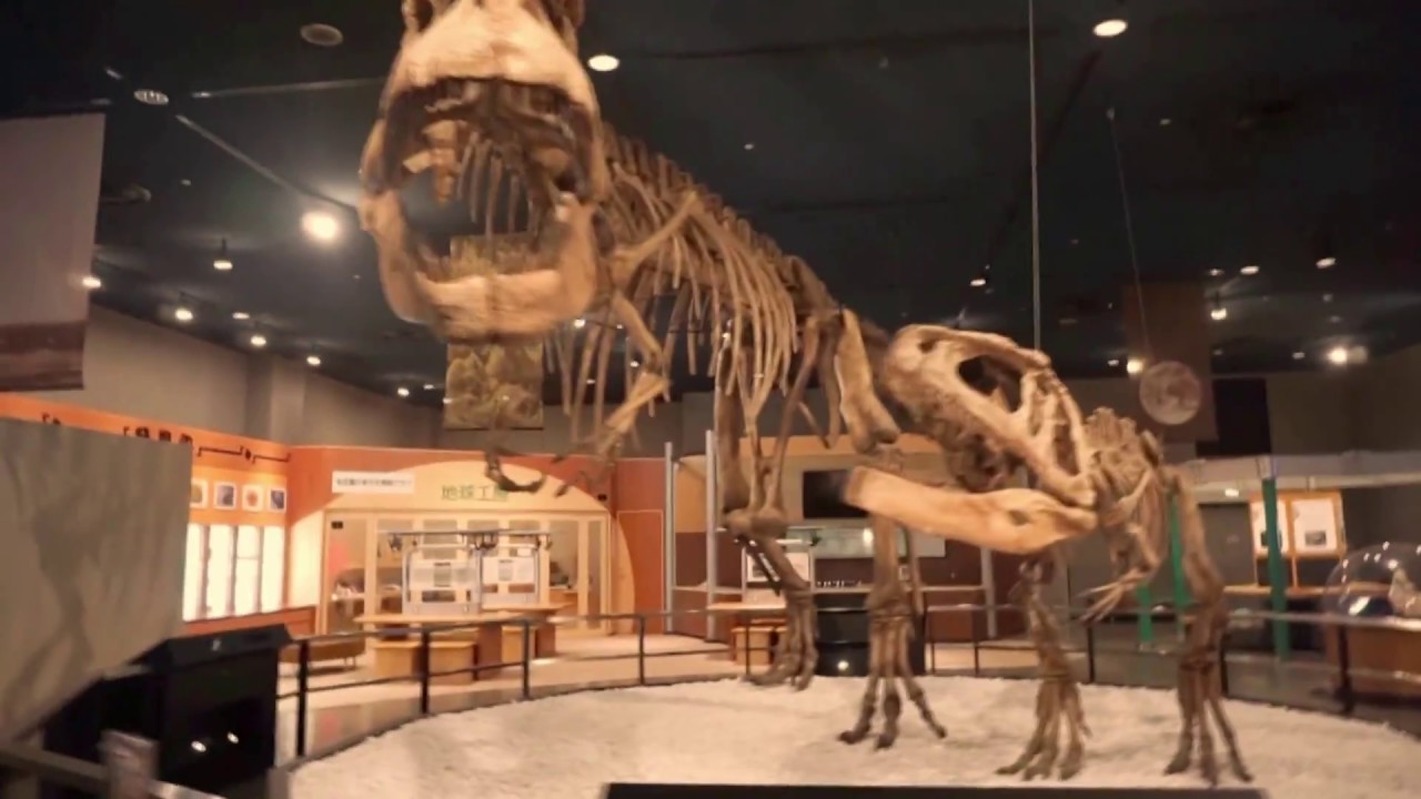 IMDI GOES TO JAPAN - Nagoya City Science Museum