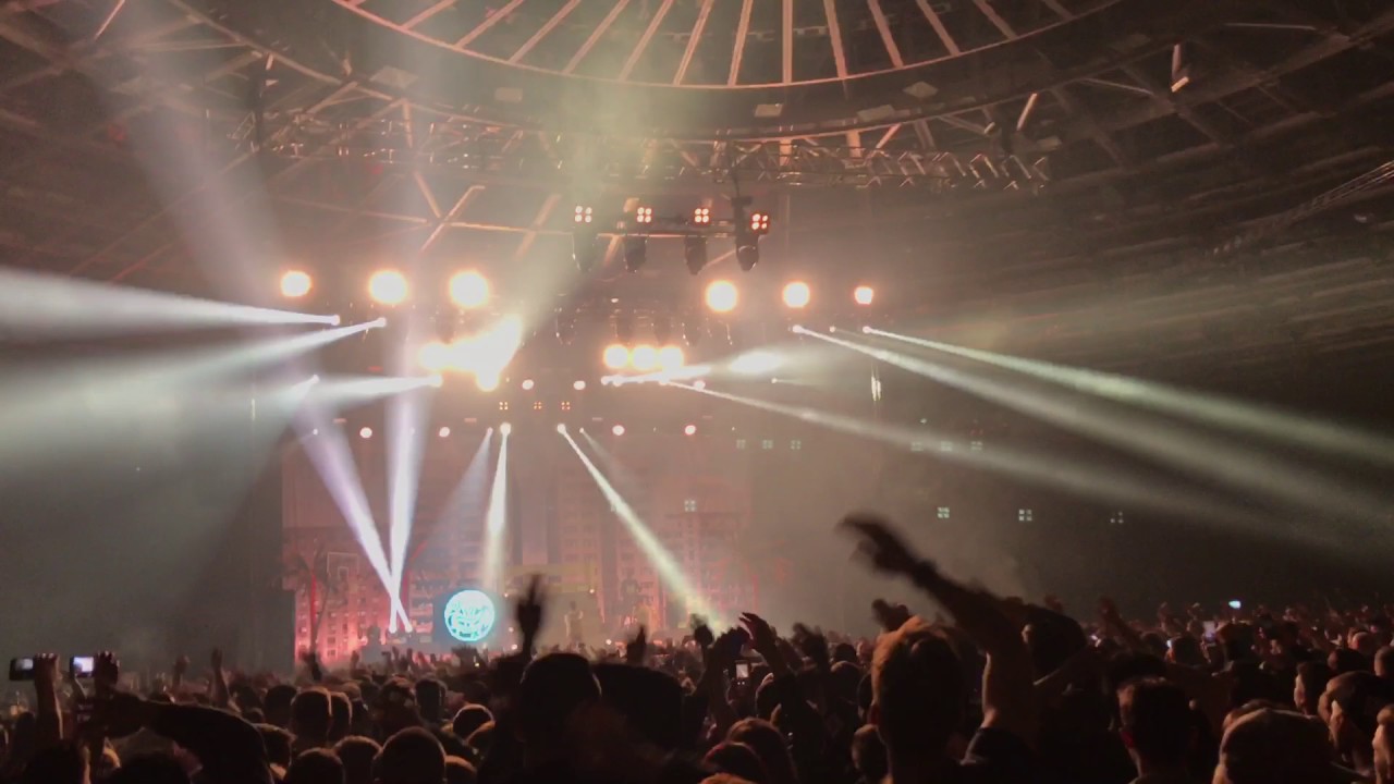 Palmen aus Plastik Tour Berlin - ciao ciao