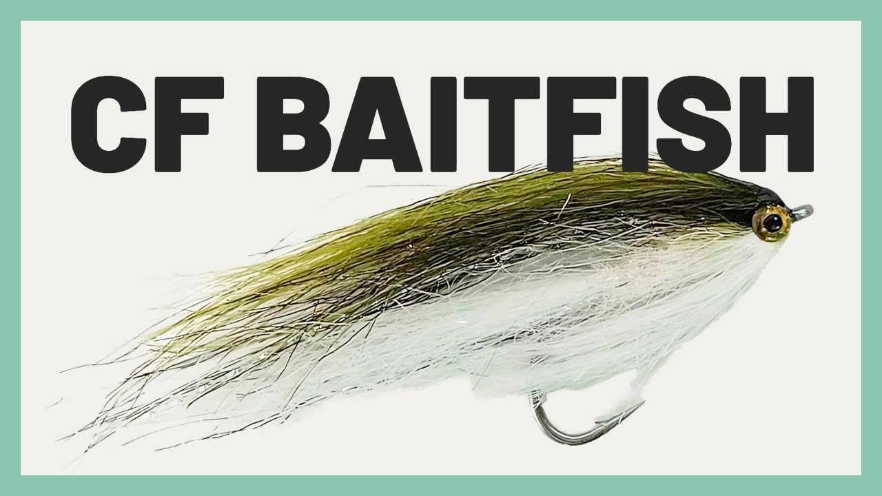 How to Tie the CF Baitfish