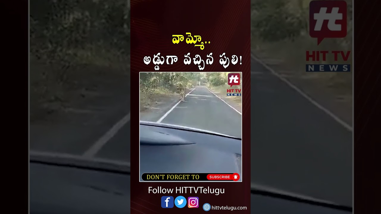#tiger #bikers #latestnews #hittvtelugunews