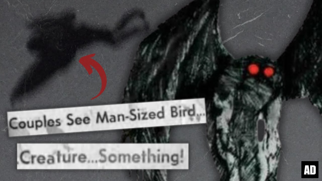the MOTHMAN that terrorised West Virginia | could he be real?!