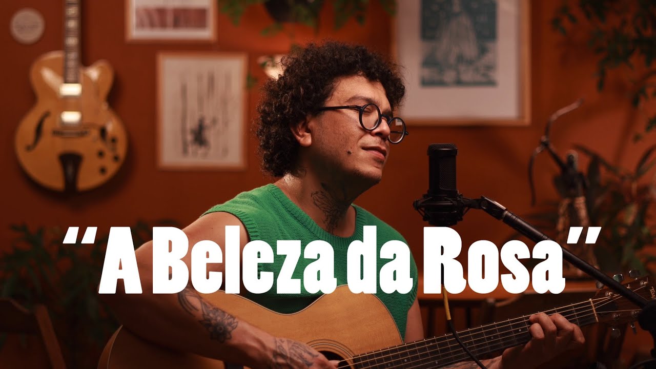 “A Beleza da Rosa” (José Ribeiro)