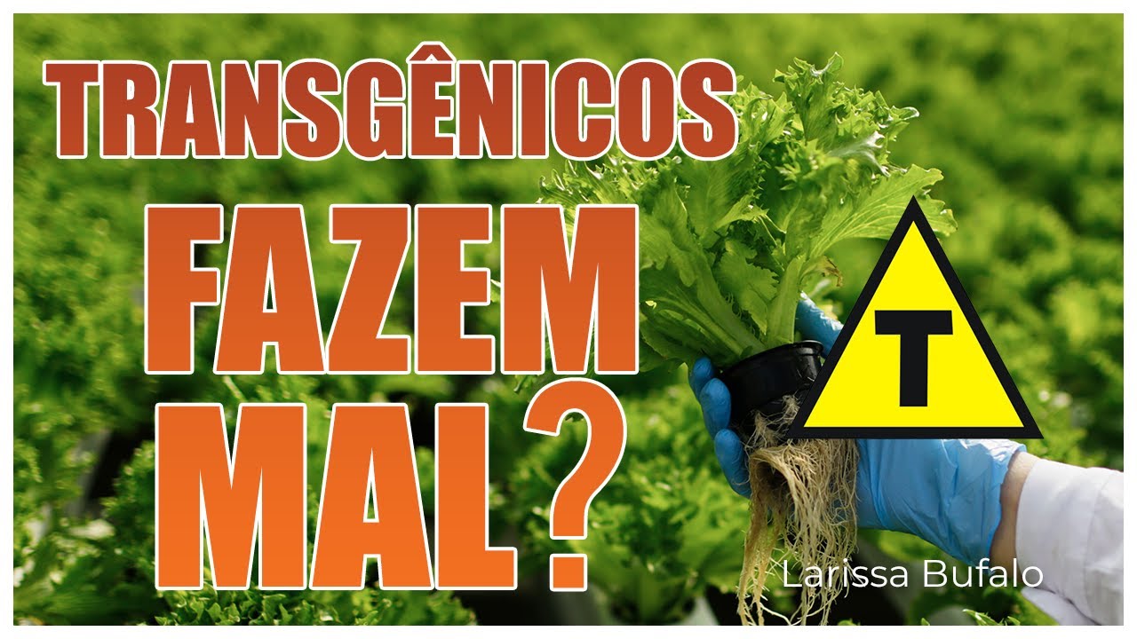 TRANSGÊNICOS FAZEM MAL?
