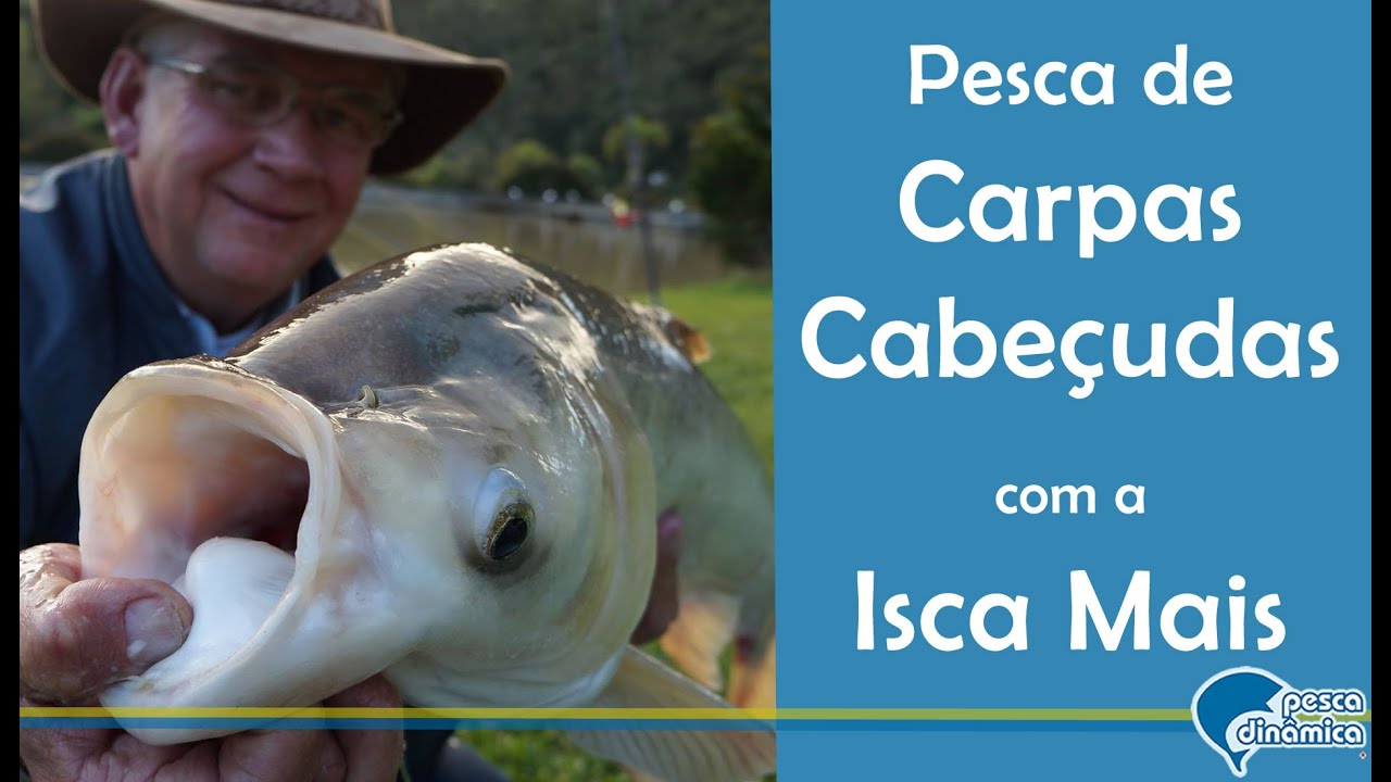 Pesca de Carpas Cabeçudas com a Isca Mais