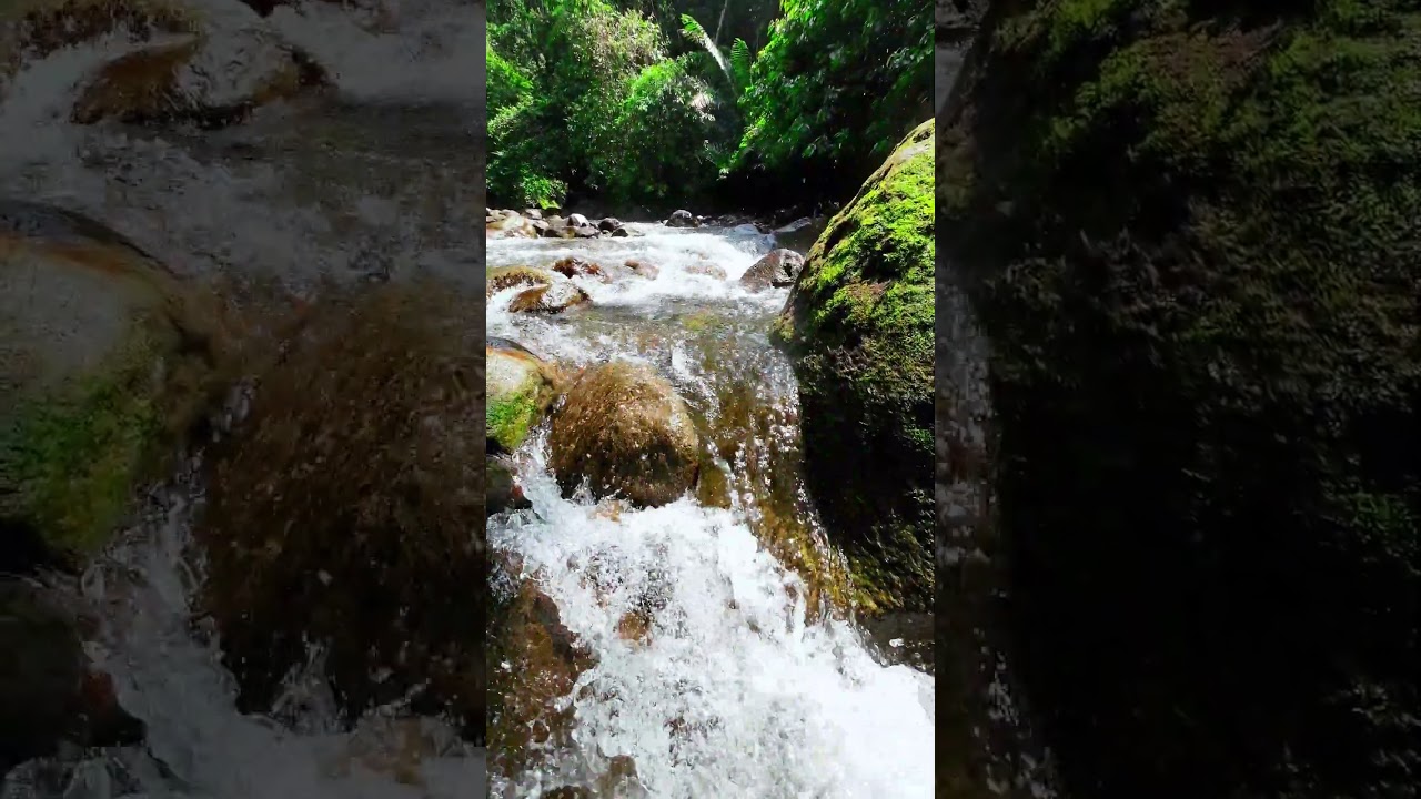 Rocky river flow | Mountain river 