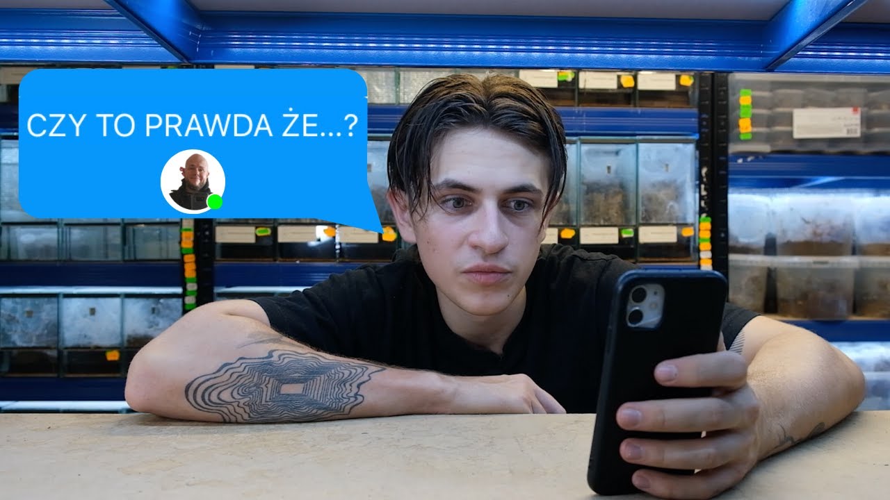 Przekładam PTASZNIKI i odpowiadam na PYTANIA WIDZÓW! Q&A