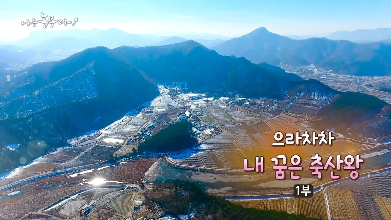 [181회_1부] 으라차차 내 꿈은 축산왕