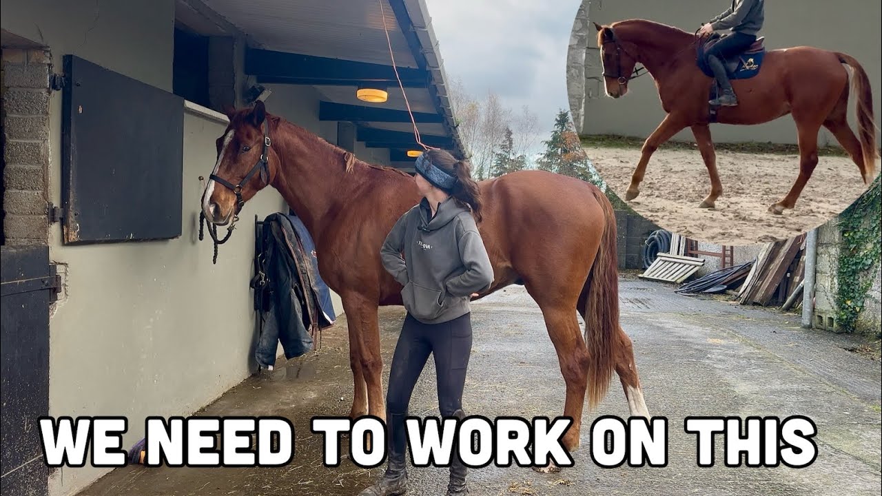 ADDRESSING MY HOMEBRED'S CURRENT ISSUE