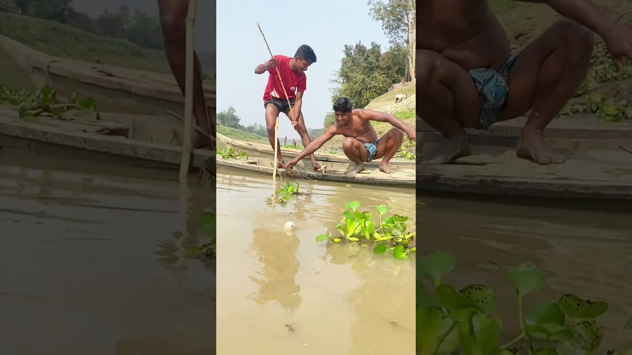 মাছ ধরার ভিডিও🐬