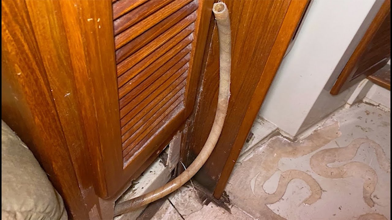 Season 2, Episode 7 - #23 Floor Project Continues. Find source of water.