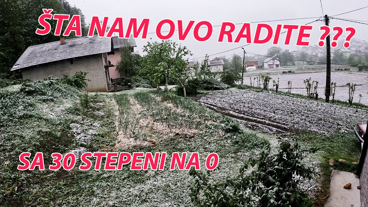 ŠTA SE OVO DEŠAVA ? SNIJEG PADE NA BEHAR NA VOĆE