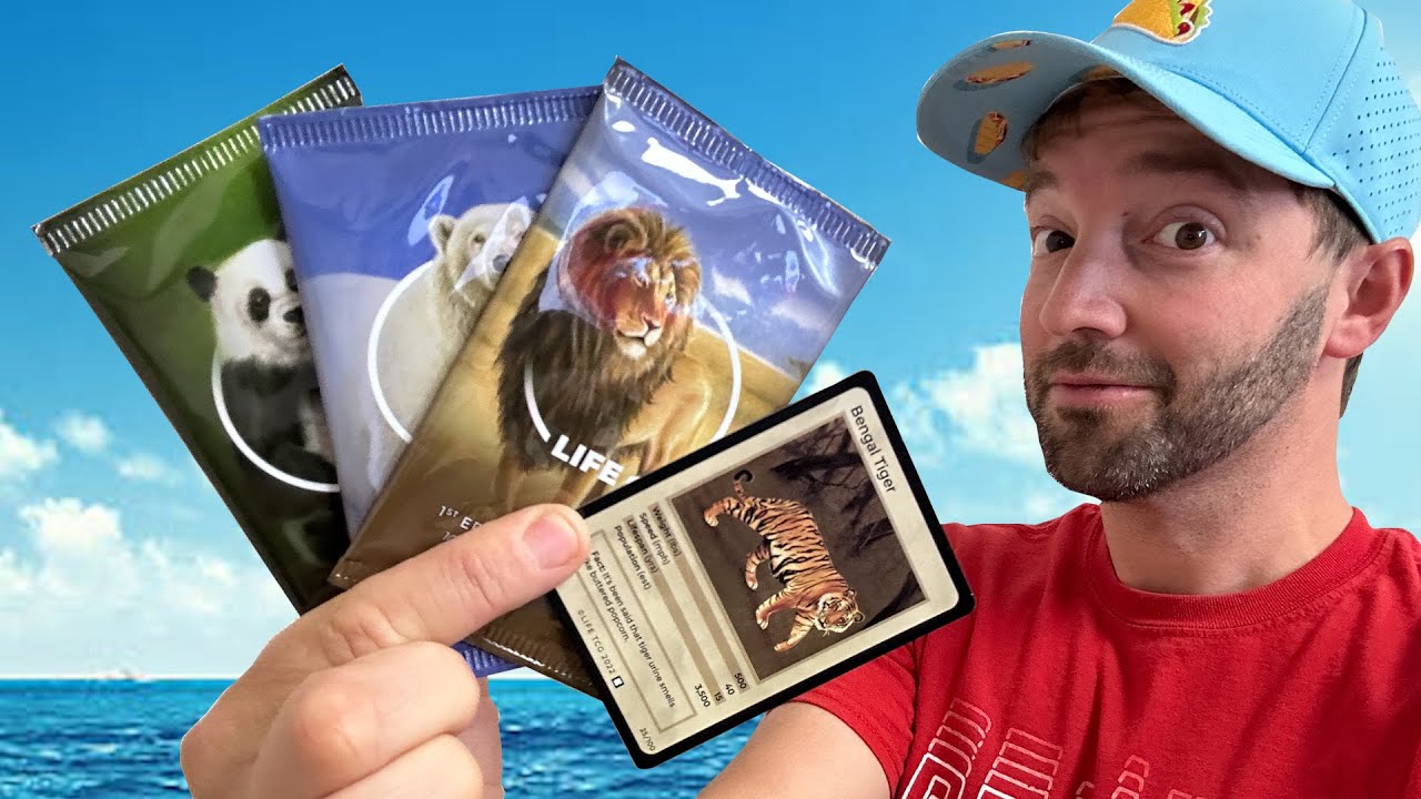 What Is LIFE TCG?