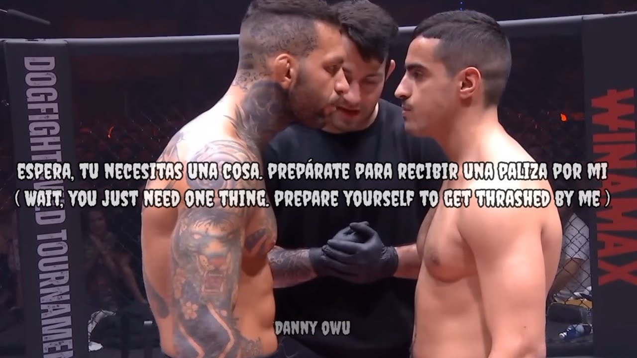 Dogfight wild tournament | Blaze Out - Dogfight