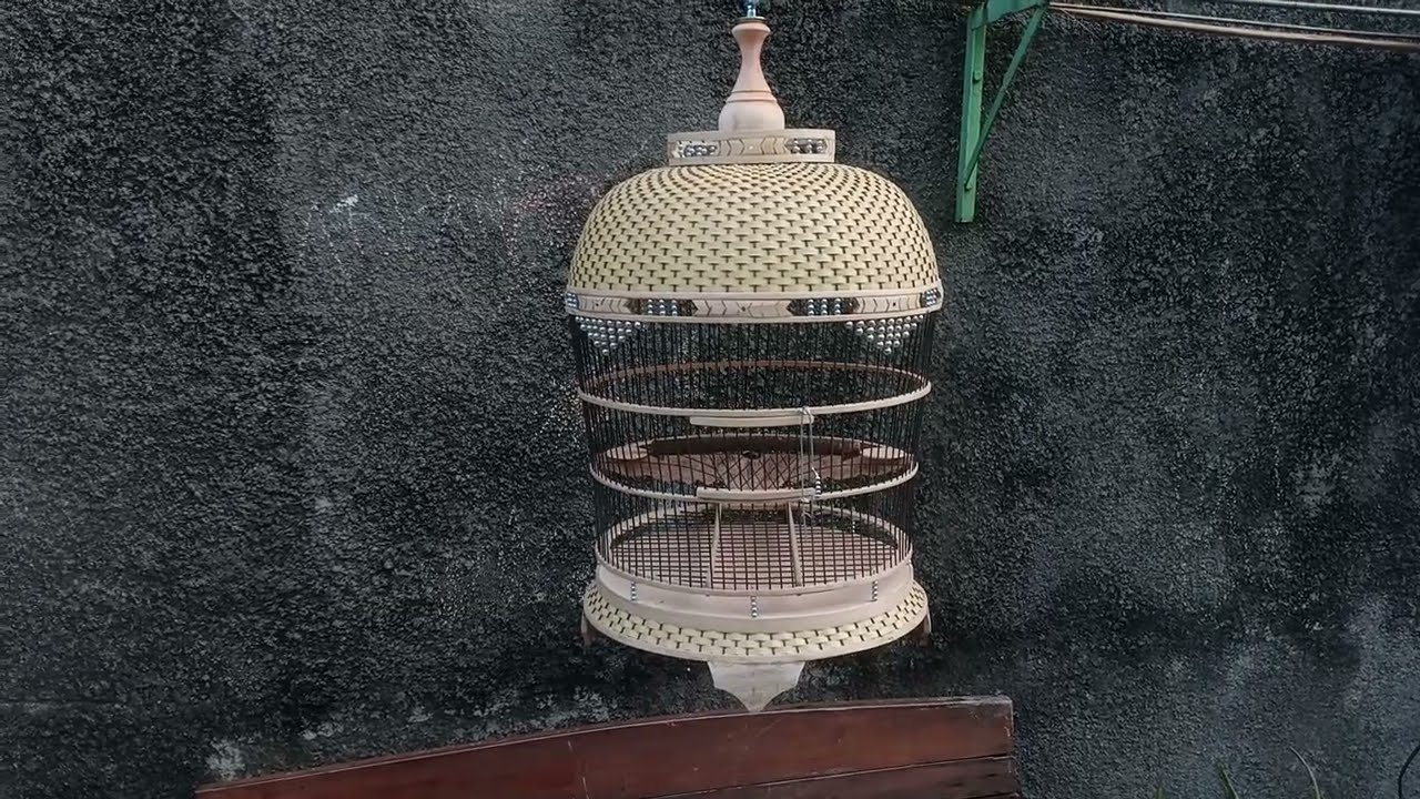 🛑Repost Sangkar Burung Perkutut Rajut