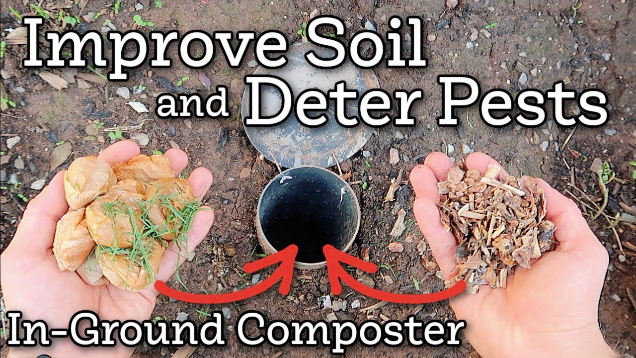 What to put in a in-ground composter to improve soil and deter pests
