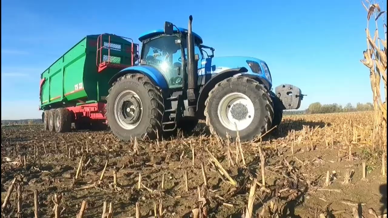 🔥Kukurydza na ziarno🌽 & śrutowanie kukurydzy {CCM}🌽2022