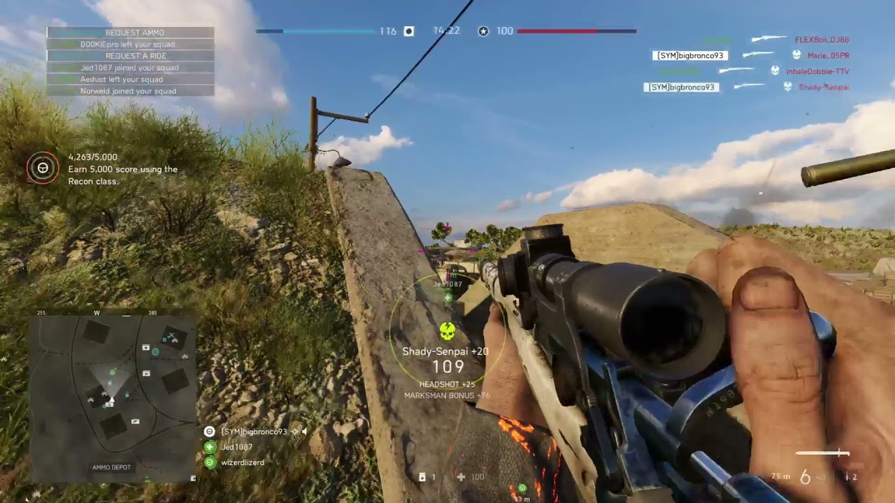 BFV Sweet Dreams*