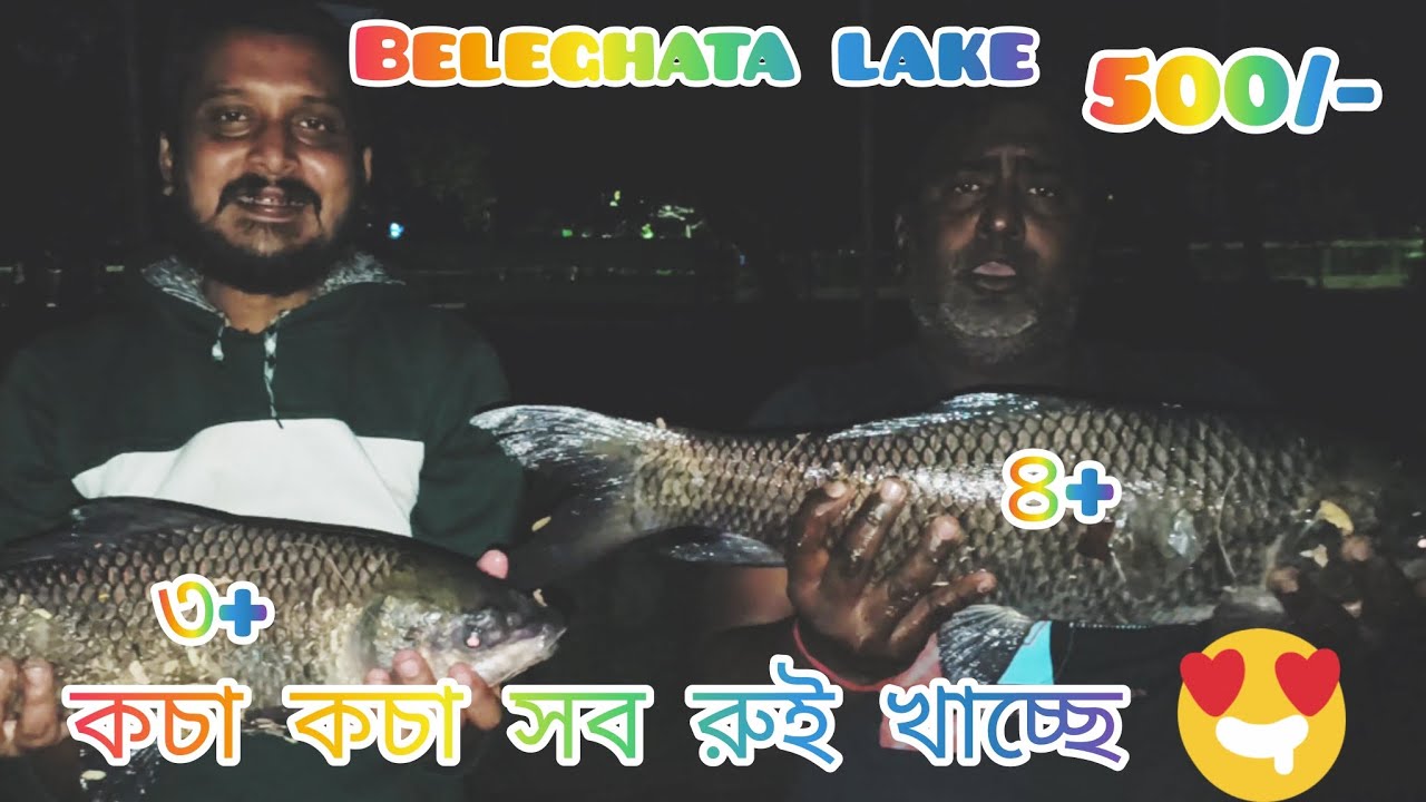 খালি কচা কচা রুই মাছ খাচ্ছে বেলেঘাটা লেকে ছাকা রুই #viral#fish#fishingtips#fishing#fishingvideo