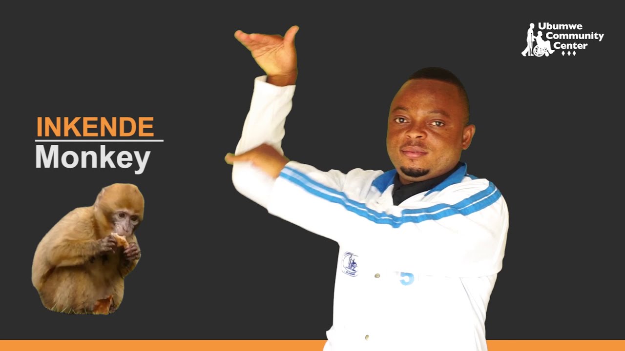 #URURIMI_RWAMARENGA​ | Amazina ya zimwe mu inyamaswa