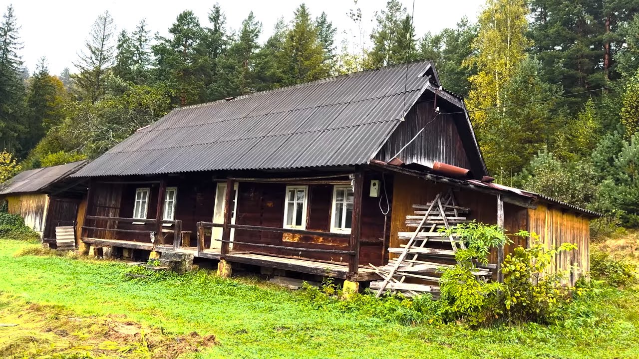 Назбирали грибів у дощових Карпатах від Буковеля до Яремча