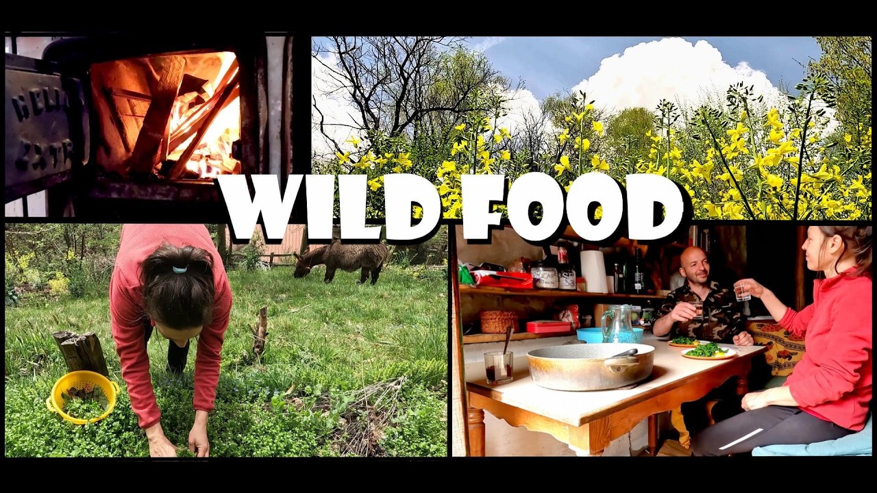 we harvest and cook wild herbs
