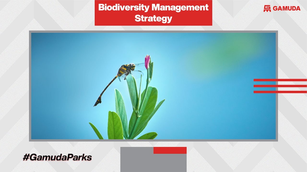 Biodiversity Management Strategy