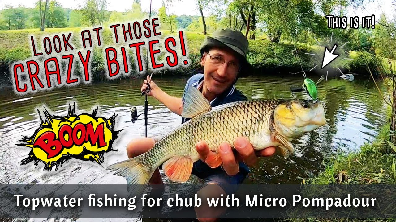 Look at these CRAZY BITES on topwater lure | Successful chub fishing with Micro Pompadour