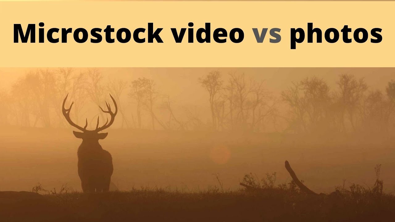 Earnings September 2020 for stock photography