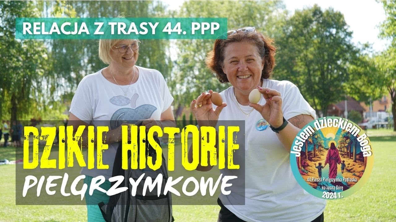 DZIKIE HISTORIE 2024 - pielgrzymkowe wpadki i przypadki - Iłża, 7 sierpnia 2024 r.