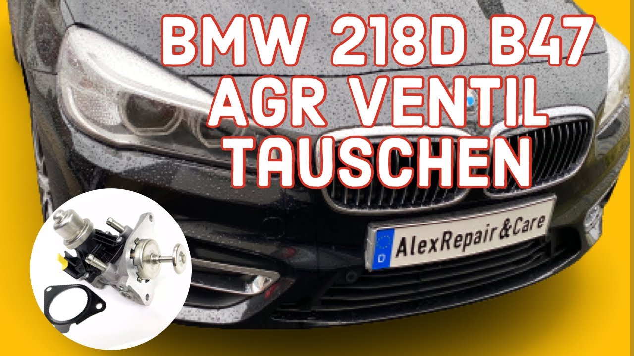 BMW 218d 220d B47 AGR Ventil tauschen