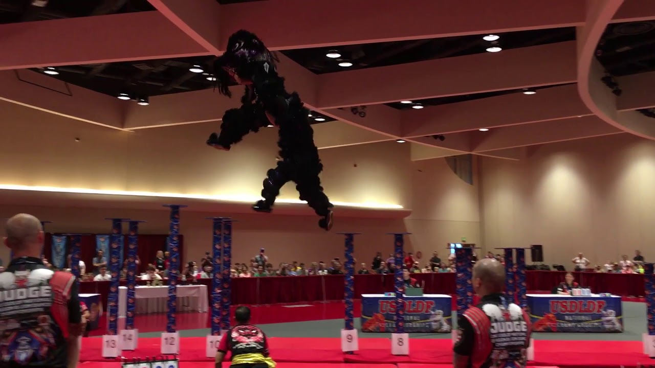 Far East Dragon - 2019 USDLDF National Freestyle Lion Dance Competition