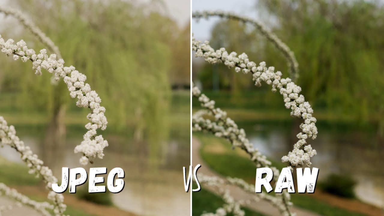 JPEG vs RAW Photography | Which Photo Format is Best?