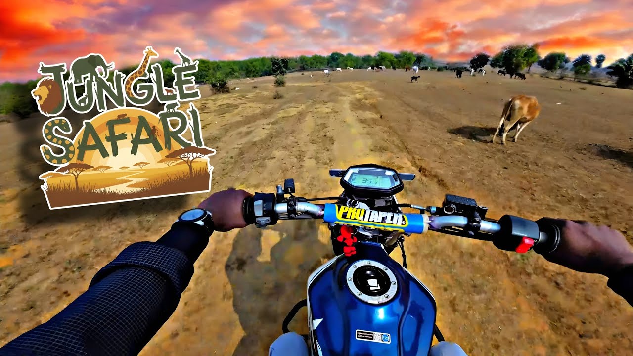 Testing The Cheapest Enduro Bike : Xpulse 200 In The Jungle
